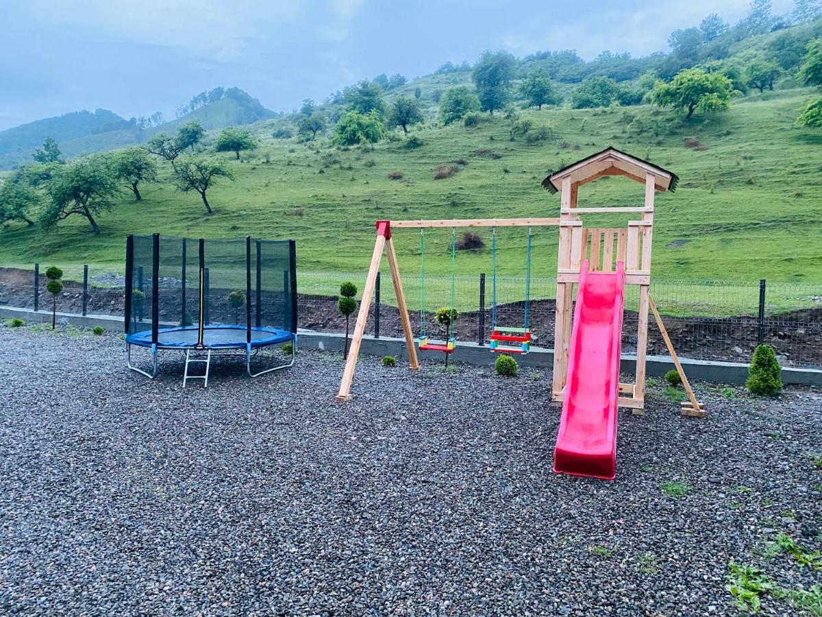 Pensiunea Suci Botiza Exterior foto