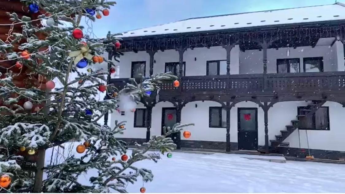Pensiunea Suci Botiza Exterior foto